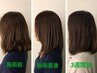 【全員】髪質改善トリートメント＋イルミナカラー＋カット　￥16,000
