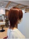 ダブルカラー,ウルフレイヤー,レッドブラウン,レッド系【草加】