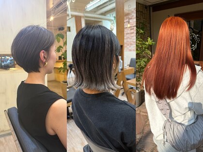 サリュー(Salut)の写真