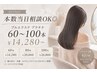 【再来/本数当日相談OK】プルエクステプラチナ60~100本 ¥14,280~