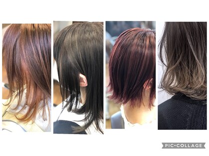 ノーマルヘアー(NORML HAIR)の写真