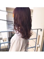 ビール 今泉店(BEER)&nbsp;【BEER 山崎雄太朗】ダークパープル　※ビフォー有