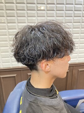 ルピナス 中田(Lupinus) 波巻きスパイラル