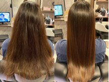 カミケンガレリア(kamiken. galleria)