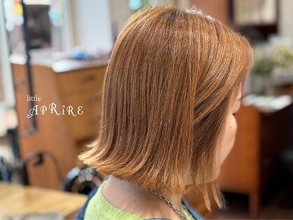 リトルアプリーレ(little APRIRE)の写真