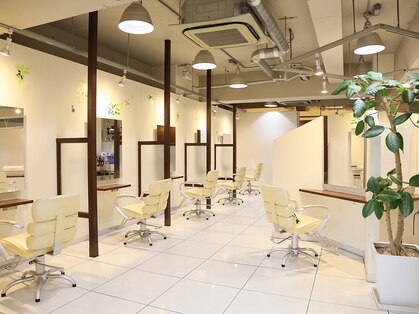 ビューティーラウンジ ビギンズ ヘア(Beauty Lounge BEGINS hair)の写真