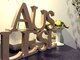 アウスレーゼ(Auslese)の写真