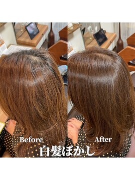 プレゴ 清澄白河平野店(Prego) 白髪ぼかしBefore&After