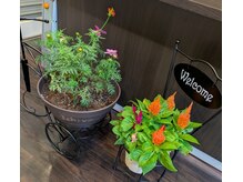 一葉の雰囲気(季節のお花を店頭に並べています♪)