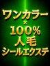 100%人毛シールエクステ90枚×ワンカラー￥30,400～