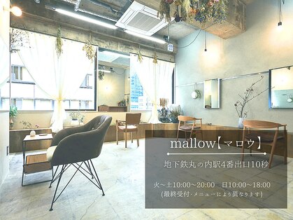 マロウ(mallow)の写真