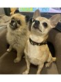 クレア(Klea) 犬を飼ってます!毎日癒されてます。たまに出勤してます!