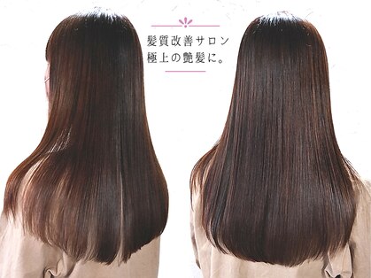 ルブラン(Le Blanc)の写真