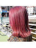 ピンクレッド   【小野山 香苗】