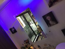 テッドヘアー(Ted hair)の雰囲気（観葉植物が目を癒してくれます♪）