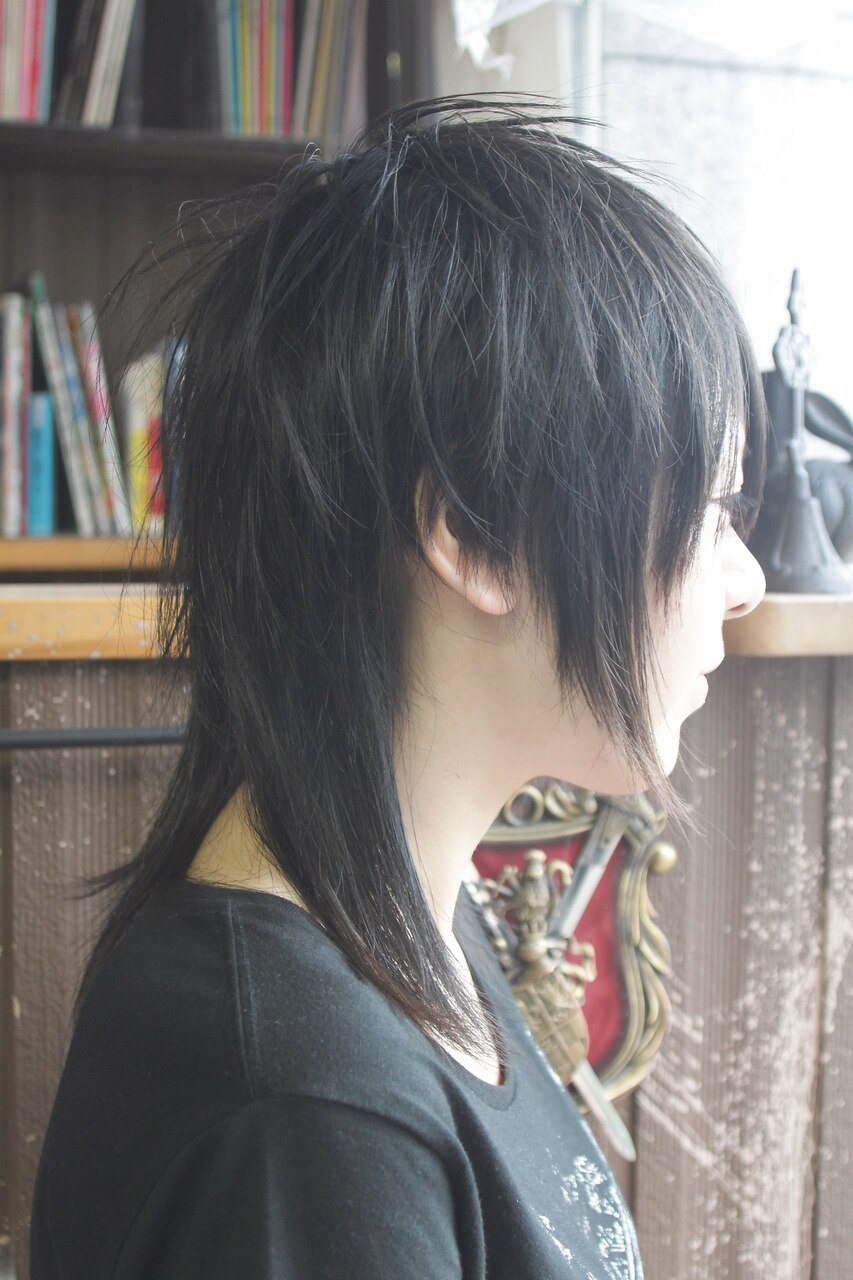 Hair Style ヘアスタイルビジュアルガイド cea1f217aa9b07c881e9961e9b1144