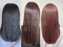 ヘアードゥ レディバグ 八木店(HAIR DO LADY BUG)