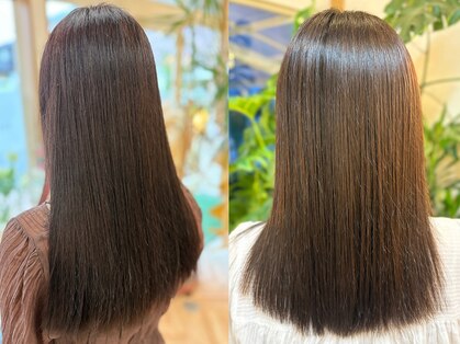 ミノル(MINORU)の写真