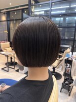 ペッツ プロフェッショナル(PETZ PROFESSIONAL)&nbsp;ミニボブ×ダークブラウン