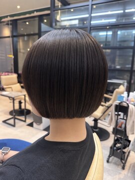 ペッツ プロフェッショナル(PETZ PROFESSIONAL) ミニボブ×ダークブラウン