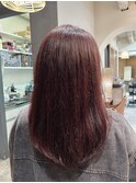 透明感カラー/ブラウンレッド/丸みロング