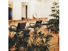 アワー(hour)の雰囲気（植物と木の温もりに包まれて。一対一で過ごす、贅沢な余白。）