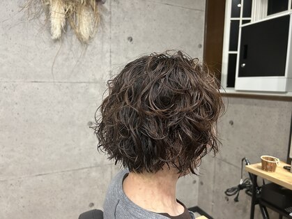 スティルバイト(STILL BITE)の写真