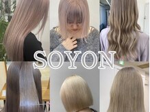 ソヨン 有田川店(SOYON)