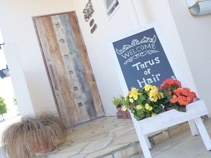 楽流頭 オブヘアー(of hair)の写真