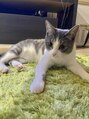 アグ ヘアー ギフト 広瀬通店(Agu hair gift)&nbsp;☆うちネコのふぅさん　笑