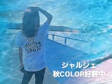 シャルシェ(Chercher)