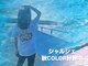 シャルシェ(Chercher)の写真