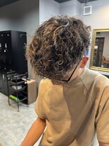 デネブ(Deneb) 大人気スペインカール