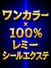 100%レミーヘアシールエクステ90枚×ワンカラー￥40,350～