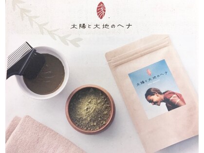 オリーブ(Olive)の写真
