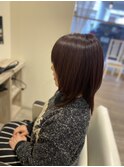 ミディアムレイヤー