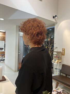 ヘアーコンセプト アイアイオ(HAIR CONCEPT iio) オレンジ系マレット