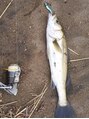 カオル(KAORU)&nbsp;ルアー釣り、エギングにはまってます♪