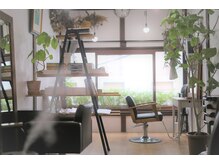 植物が多く明るくて落ち着いた雰囲気の店内です