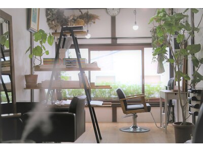 植物が多く明るくて落ち着いた雰囲気の店内です