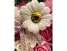 部分縮毛矯正(前髪、顔周りのみ) ＋　カット　￥ 8500 ～