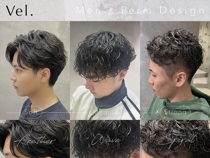 ヴェル(Vel.)の写真