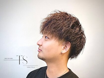 テラステラ(TERRA STELLA)の写真