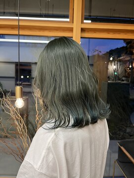 パルムヘアー(Palm hair) 恐竜カラー