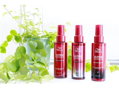 リブカラー(Lib color)の写真