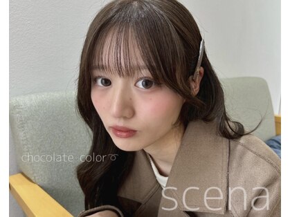 シーナ(scena)の写真