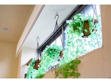 ヘアーメイクグロワール(HAIR MAKE GLOIRE)の雰囲気（アットホームな雰囲気です）