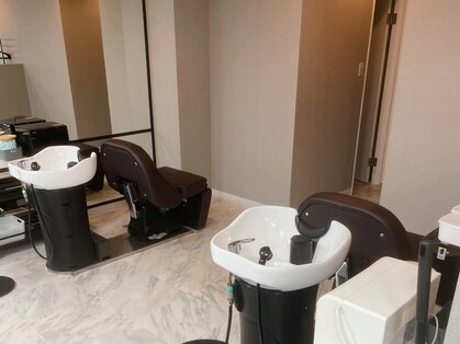 ライラック(LILAC)の写真