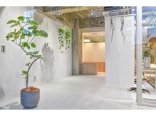 コンクリートの床とグレーをベースにした内装に、店内に配置している観葉植物で落ち着いた雰囲気に