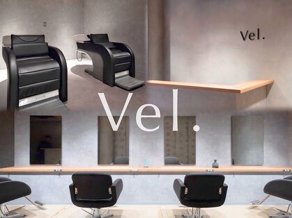 ヴェル(Vel.)の写真